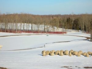 Pond Loop Heating 14,700 sq ft Home